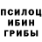 Галлюциногенные грибы Cubensis Terin fLLou_F