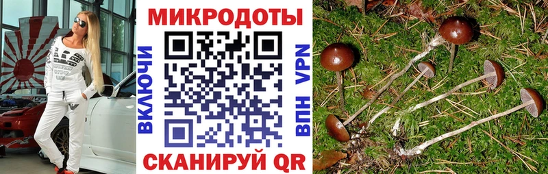Галлюциногенные грибы Psilocybe  цена   Орск 